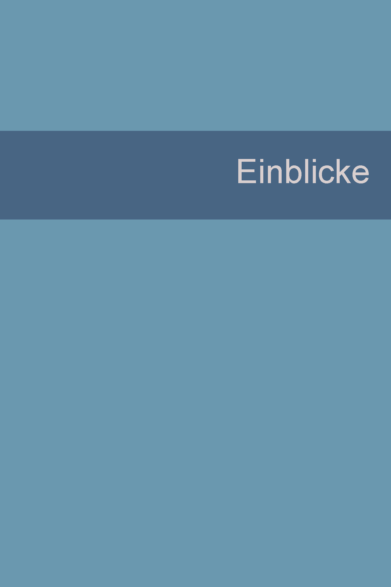 Einblick